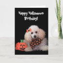 Search for dogs halloween cards Animal