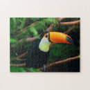 Search for toucan puzzles Animal