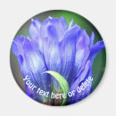 Search for flower magnets Mother