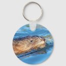Search for ecological key rings Wildlife