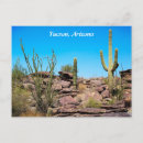 Search for phoenix postcards Saguaro cactus
