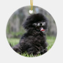 Search for black pomeranian christmas tree decorations Loulou