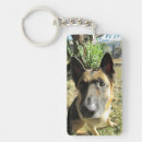 Search for german shepherd photography Canine