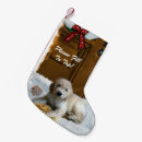 Search for goldendoodle christmas stockings Pets