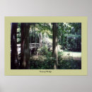 Search for swamps posters Trees
