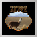 Search for nomad posters Travel