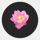 Search for isolation stickers Black