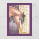 Search for stud postcards Stallion