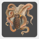 Search for vintage marine stickers Octopus