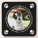 Search for paw print coasters Dog