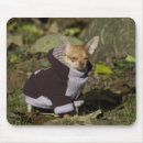 Search for tiny small mouse mats Funny