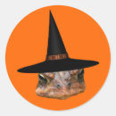 Search for witch face stickers Funny