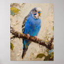 Search for budgies posters Blue
