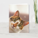 Search for cat sorry cards Cute