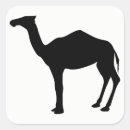 Search for dromedary stickers Nature