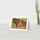Search for chestnut cards Foal