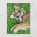 Search for bergere postcards Cute