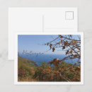 Search for pomegranate cards invites Mediterranean