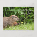 Search for deliver postcards Cute