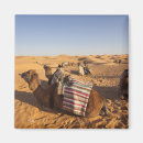 Search for tunisia magnets Desert