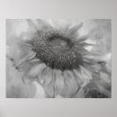 Search for black white sunflower art Vintage