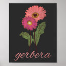 Search for gerbera posters Daisies