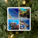 Search for coral christmas tree decorations Great barrier reef