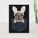 Search for in french easter cards Colourful