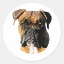 Search for boxer mom stickers Animal