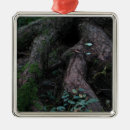 Search for cascade christmas tree decorations Pacific northwest