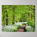 Search for springtime posters Forest