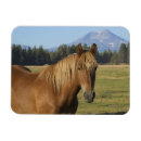 Search for cascade range Farm