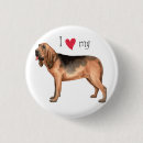 Search for hubert badges Chien de saint hubert