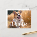 Search for pooch lover stuff postcards For her