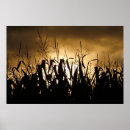 Search for cereal posters Corn