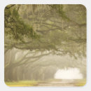 Search for savannah georgia stickers Joanne wells