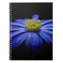 Search for african daisy notebooks Daisies