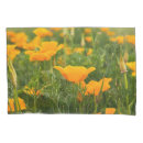 Search for california pillowcases Orange
