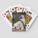Search for full playing cards Horizontal