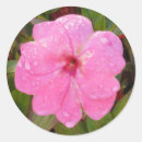 Search for water drop stickers Wet