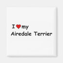 Search for airedale magnets Terrier