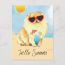 Search for spitz dog postcards Pomeranian