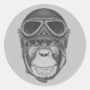 Search for vintage helmet stickers Goggles