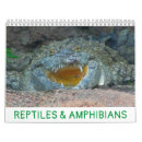 Search for reptile calendars Frogs
