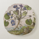 Search for viola cushions Botanical