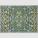 Search for white daisy tissue paper Green