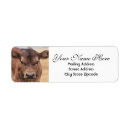 Search for ranching return address labels Calf
