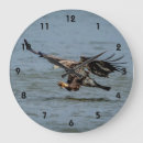 Search for eagle eyes art Bird