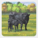 Search for beef cattle stickers Black angus