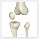 Search for bone doctor stickers Human body part